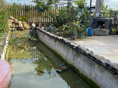 -美家乐农庄·露营·团建(大治路店)