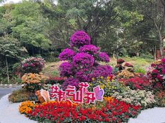 -广州市白云山风景名胜区