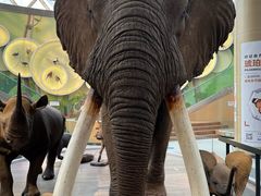 -陕西自然博物馆