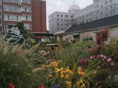 -长春公园(普阳街道)