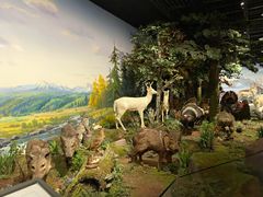 -陕西自然博物馆