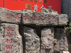 -长寿村