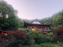 -十八棵（老龙井）御茶园(老龙井店)
