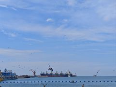 -海驴岛(荣成市)