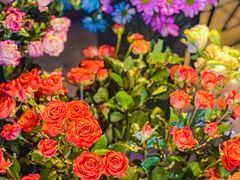 -循礼门鲜花花市(武汉循礼门店)