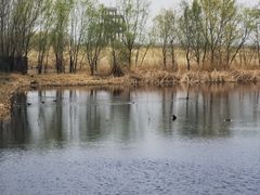 -野鸭湖国家湿地公园