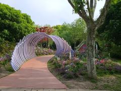 -上海鲜花港