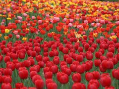 -森林公园(尖草坪区)