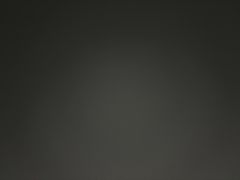 -繁仔牛杂(石排店)