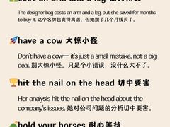 -JT PREP国际学科课程·IB·AP·Alevel(陆家嘴校区)