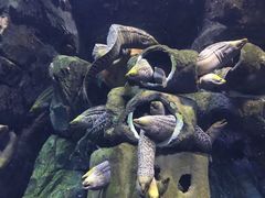 -星乐度·露营小镇
