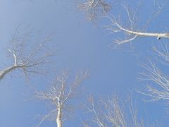 -北戴河集发农业梦想王国