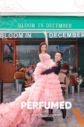 -帆拉斐婚纱摄影(春熙店)