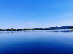 -西湖外事游船(花港观鱼码头)