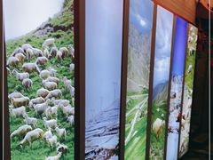 -阿西娅食府(中关村店)