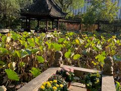 -上海醉白池公园