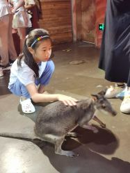 -Zoolung Zoolung动物主题公园(海信广场店)