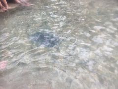 -国信南山温泉