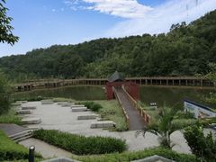 -神光山国家森林公园