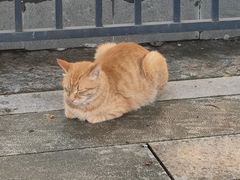 -荔湾博物馆