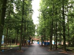 -东平国家森林公园