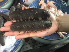 -浩运·海鲜青岛菜·海胆水饺(石老人店)