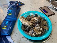 -港畔赶海蒸汽海鲜烧烤自助(仙螺岛店)