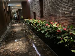 -鼎膳常火锅(华阳店)