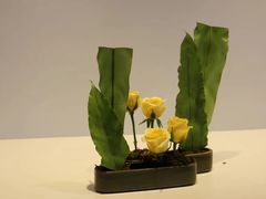 -广州市第二少年宫