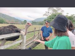 -瑞穗牧场