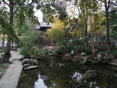 -成都市活水公园