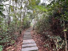 -狐尾山公园
