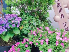 -青果巷历史文化街区