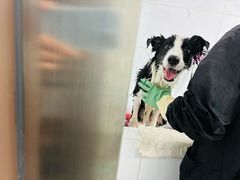 -瑞鹏宠物医院·爱宠堂·骨外专科(西荷分院)