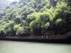 -三峡人家风景区