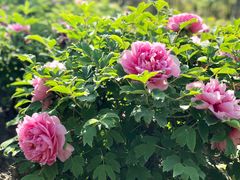 -江南大学-第一食堂(江南苑)