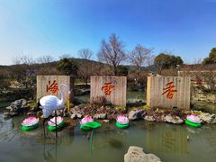 -香雪海