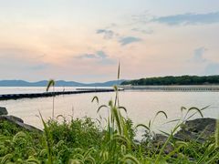 -上海市保健医疗中心