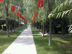 -草根堂农场