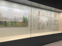-辽宁古生物博物馆