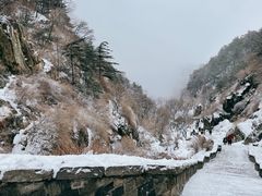 -泰山风景名胜区
