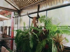 -野蔓果·山野菜(西湖景区·龙井茶田店)