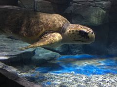 -多彩贵州城极地海洋世界