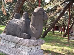 -北陵公园