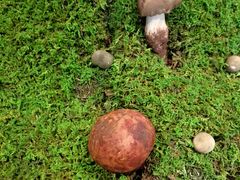 -外滩·云南人家(昆明旗舰店)