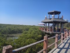 -北海金海湾红树林生态旅游区