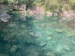 -宁波五龙潭景区