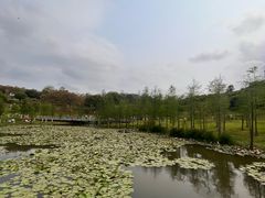 -东莞植物园