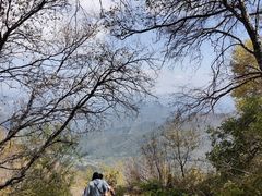 -白草畔自然风景区