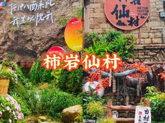 -淄博花灯齐彩城
